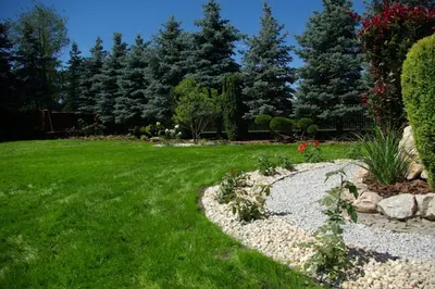 VERANO Sp. z o.o. Architekt Ogrodu